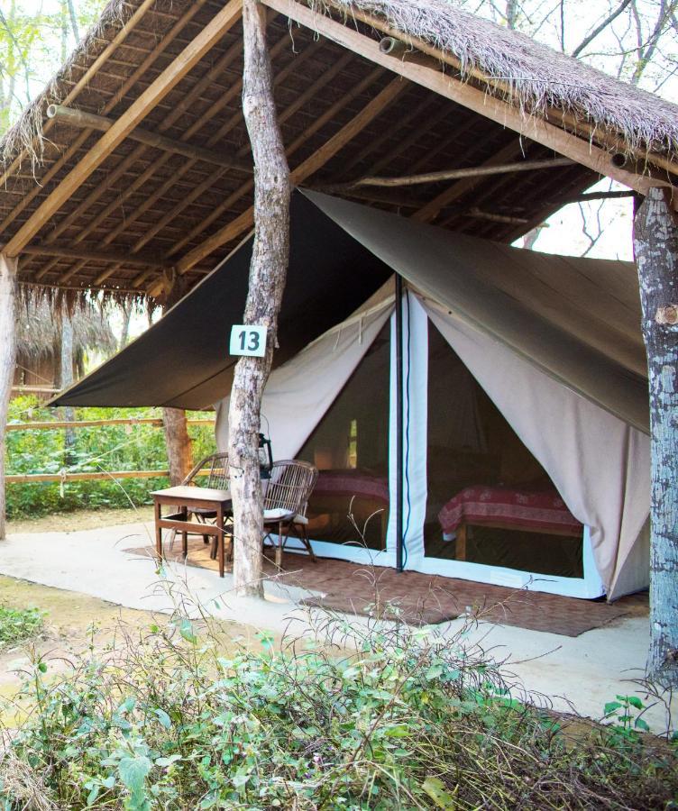 Tiger Tops Tharu Lodge Читван Экстерьер фото