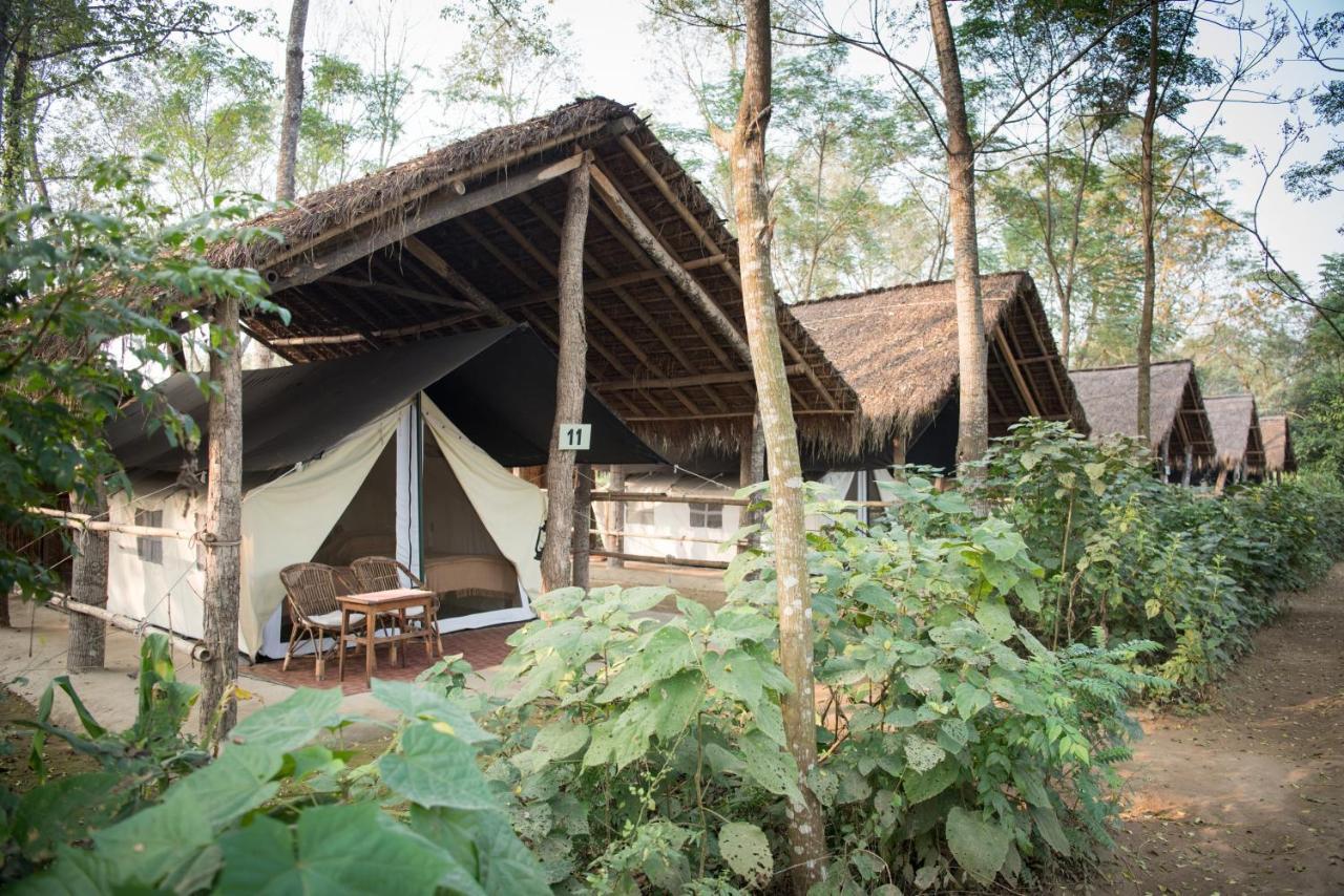 Tiger Tops Tharu Lodge Читван Экстерьер фото