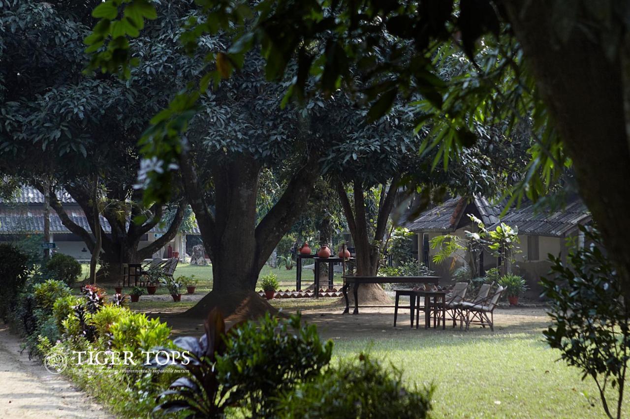 Tiger Tops Tharu Lodge Читван Экстерьер фото