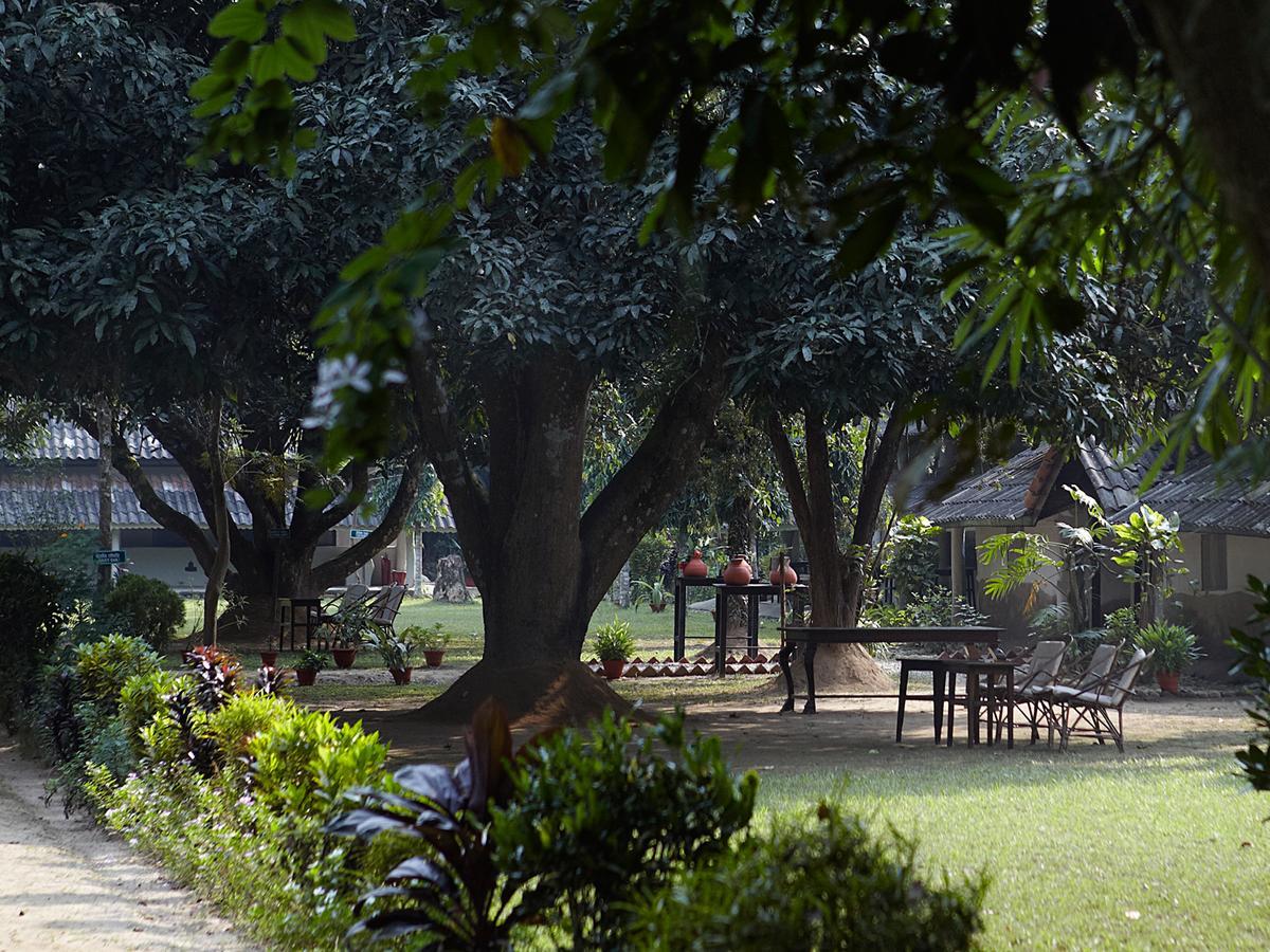 Tiger Tops Tharu Lodge Читван Экстерьер фото