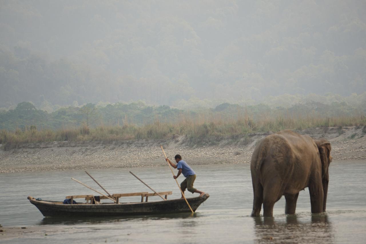 Tiger Tops Tharu Lodge Читван Экстерьер фото