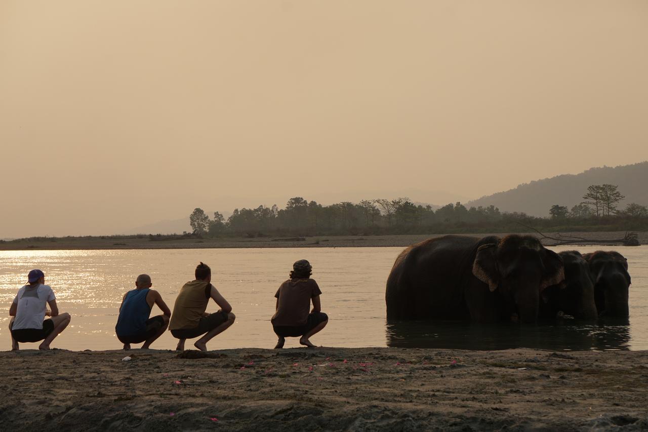 Tiger Tops Tharu Lodge Читван Экстерьер фото