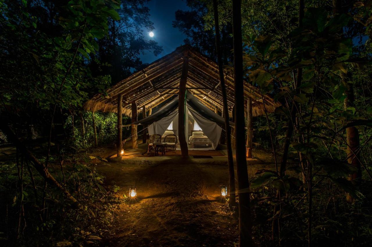 Tiger Tops Tharu Lodge Читван Экстерьер фото