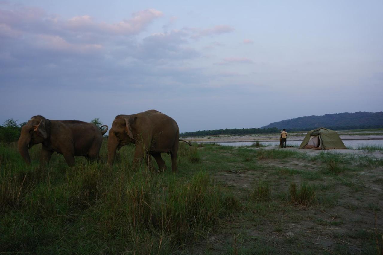 Tiger Tops Tharu Lodge Читван Экстерьер фото