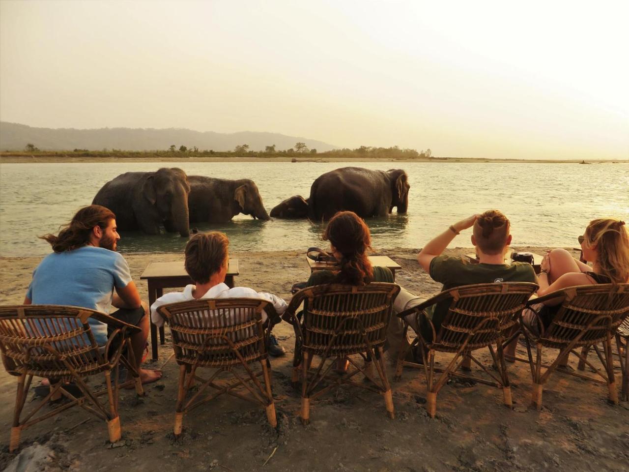 Tiger Tops Tharu Lodge Читван Экстерьер фото