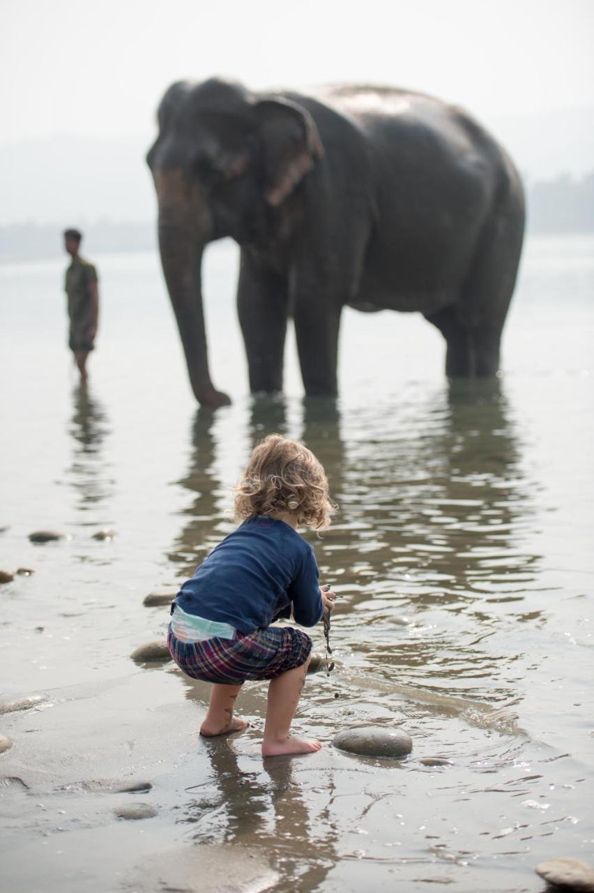 Tiger Tops Tharu Lodge Читван Экстерьер фото