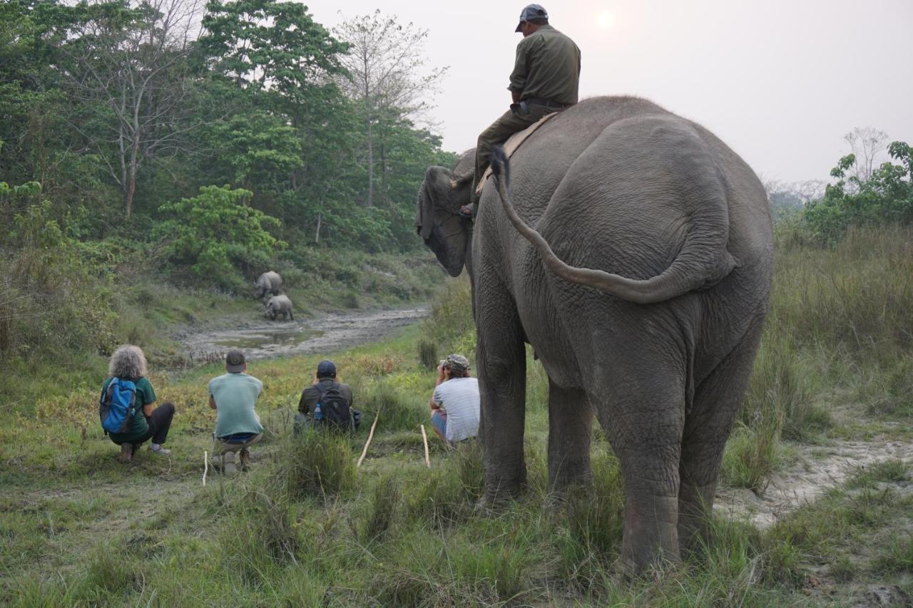 Tiger Tops Tharu Lodge Читван Экстерьер фото