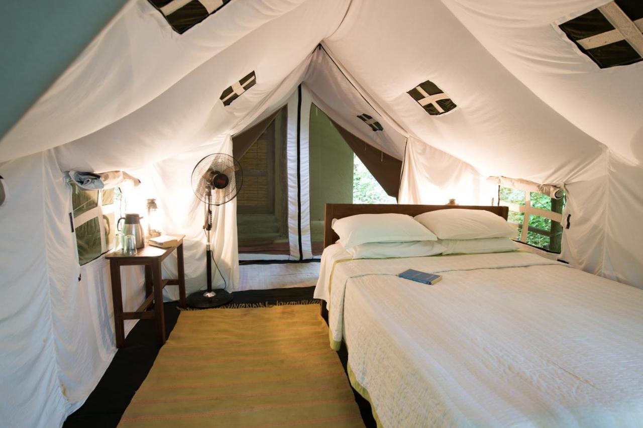 Tiger Tops Tharu Lodge Читван Экстерьер фото
